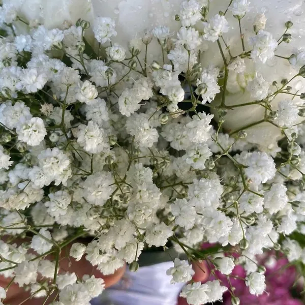 Arrangement floral délicat