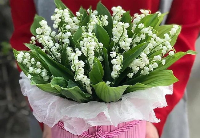 Livraison de fleurs à Nice